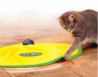 Cat Fun Mat: Tapete de Diversión y Ejercicio para Gatos 😻